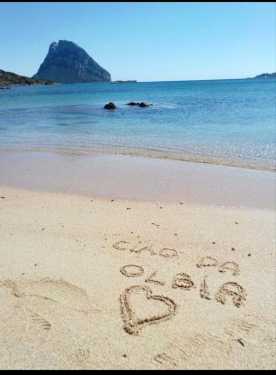 Casa Marina Bed and Breakfast Olbia Exterior foto